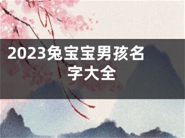 2023兔宝宝男孩名字大全