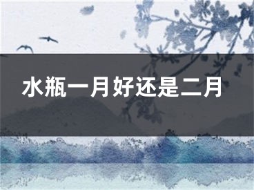 水瓶一月好还是二月