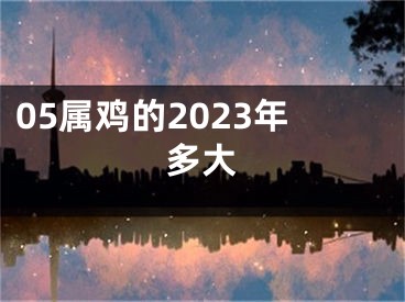05属鸡的2023年多大