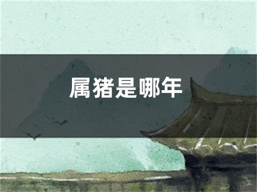 属猪是哪年