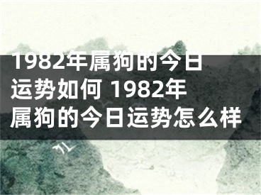 1982年属狗的今日运势如何 1982年属狗的今日运势怎么样