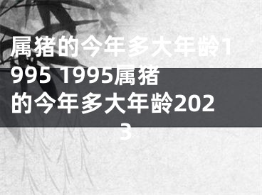 属猪的今年多大年龄1995 1995属猪的今年多大年龄2023