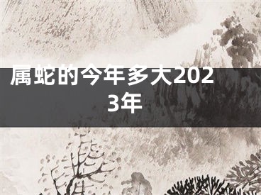 属蛇的今年多大2023年