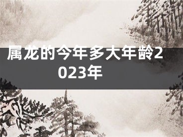 属龙的今年多大年龄2023年