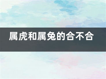 属虎和属兔的合不合