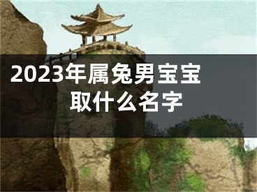 2023年属兔男宝宝取什么名字