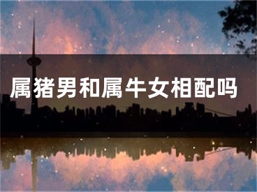 属猪男和属牛女相配吗