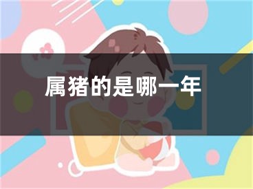 属猪的是哪一年
