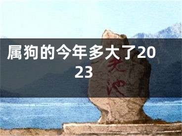 属狗的今年多大了2023