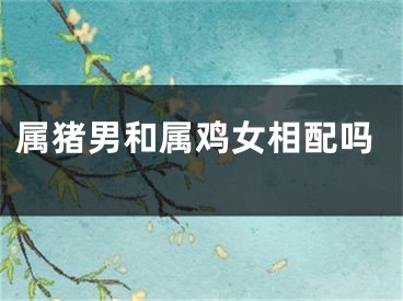 属猪男和属鸡女相配吗