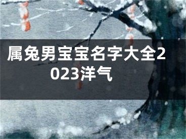 属兔男宝宝名字大全2023洋气
