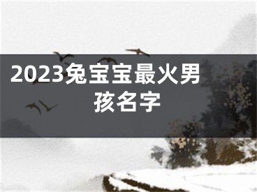 2023兔宝宝最火男孩名字