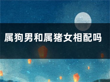 属狗男和属猪女相配吗