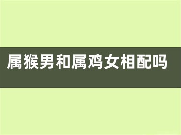 属猴男和属鸡女相配吗