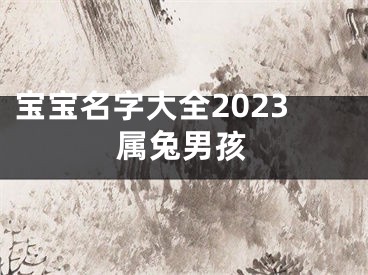 宝宝名字大全2023属兔男孩