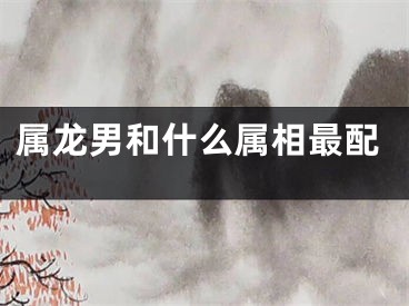 属龙男和什么属相最配