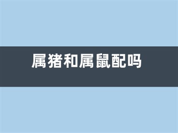 属猪和属鼠配吗