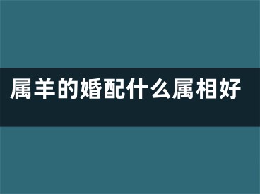 属羊的婚配什么属相好