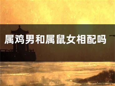 属鸡男和属鼠女相配吗