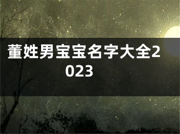 董姓男宝宝名字大全2023