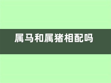 属马和属猪相配吗