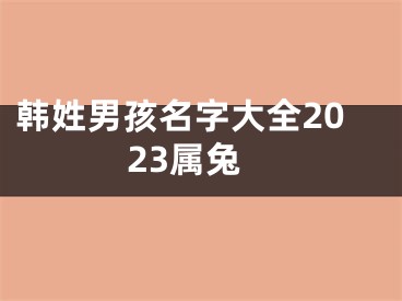 韩姓男孩名字大全2023属兔