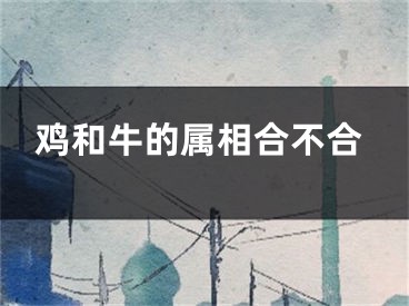 鸡和牛的属相合不合