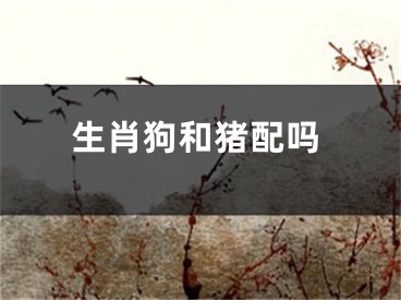 生肖狗和猪配吗
