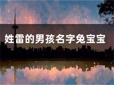 姓雷的男孩名字兔宝宝