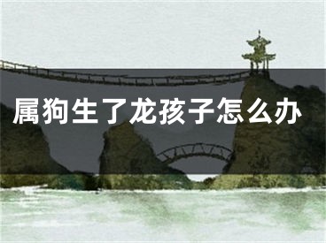 属狗生了龙孩子怎么办