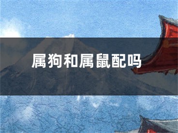 属狗和属鼠配吗