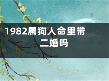 1982属狗人命里带二婚吗