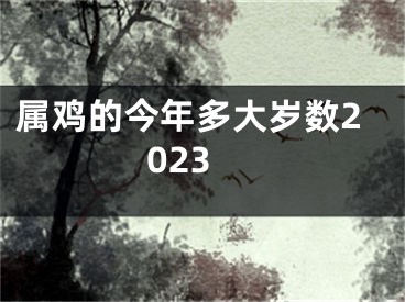 属鸡的今年多大岁数2023