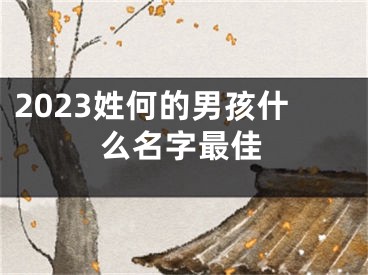 2023姓何的男孩什么名字最佳