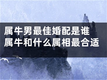 属牛男最佳婚配是谁 属牛和什么属相最合适