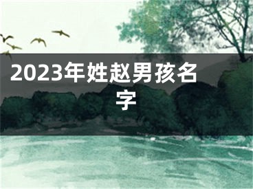 2023年姓赵男孩名字