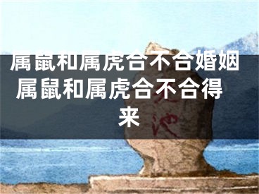 属鼠和属虎合不合婚姻 属鼠和属虎合不合得来
