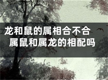 龙和鼠的属相合不合 属鼠和属龙的相配吗