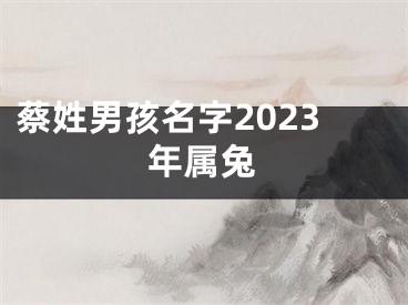 蔡姓男孩名字2023年属兔