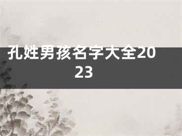孔姓男孩名字大全2023