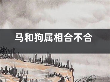 马和狗属相合不合