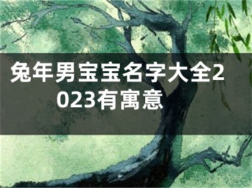 兔年男宝宝名字大全2023有寓意
