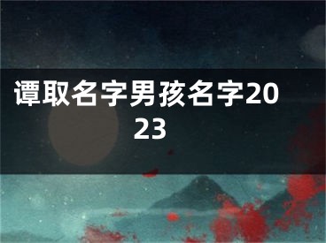 谭取名字男孩名字2023