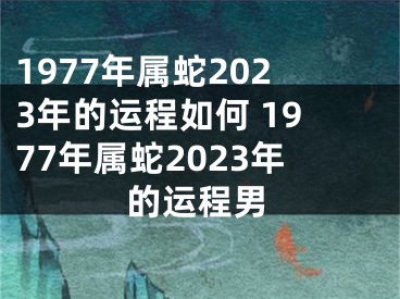 1977年属蛇2023年的运程如何 1977年属蛇2023年的运程男