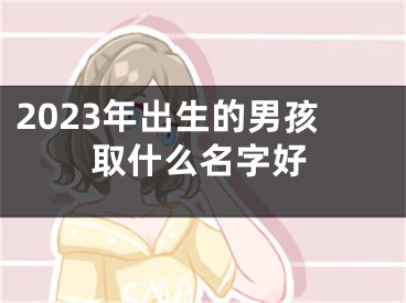 2023年出生的男孩取什么名字好