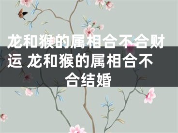 龙和猴的属相合不合财运 龙和猴的属相合不合结婚