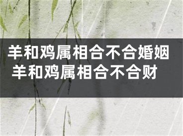 羊和鸡属相合不合婚姻 羊和鸡属相合不合财