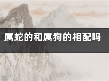属蛇的和属狗的相配吗