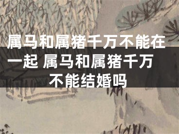 属马和属猪千万不能在一起 属马和属猪千万不能结婚吗