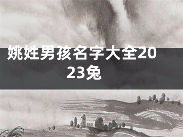 姚姓男孩名字大全2023兔